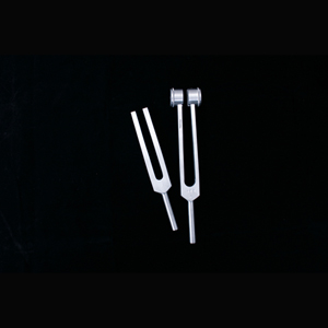 3.[S19-102/S19-106] TUNING FORKS [튜닝포크-음차]